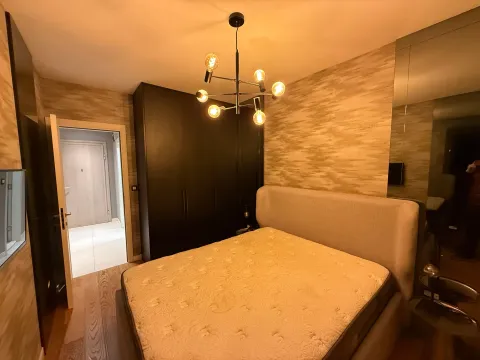 Izdavanje, jednosoban stan, 50m², Central Point, Podgorica - image 10