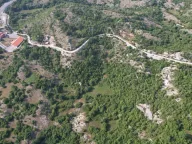 Prodaja, plac, 28500m², Cetinje, Crna Gora - image 6