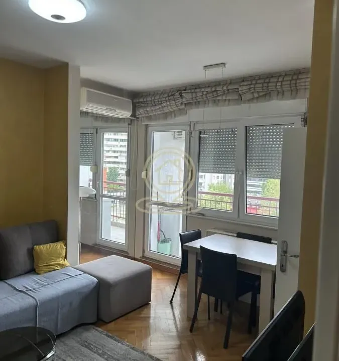 Izdavanje, dvosoban stan, 45m², Novi Beograd Blok 22, Novi Beograd Sve Podlokacije