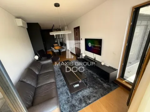 Izdavanje, dvosoban stan, 50m², Savski Venac, Beograd - image 11