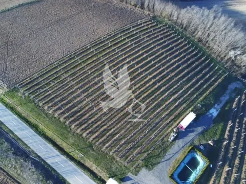 Prodaja, plac, 20000m², Nemenikuće, Sopot - image 9