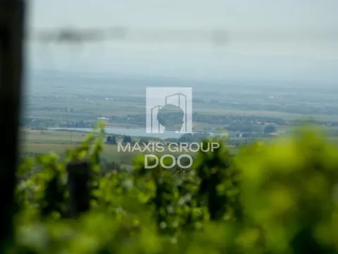 Sale, land lot, 1174800m², Banja Vrdnik, Irig - image 3