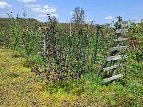 Prodaja, plac, 2950m², Voždovac Sve Podlokacije, Beograd - image 7