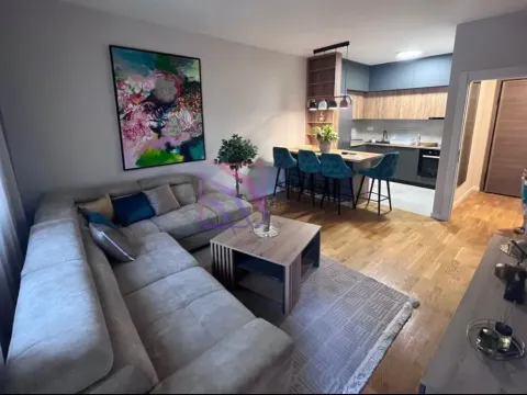 Rent, one bedroom apartment, 47m², Zabjelo, Podgorica - image 2