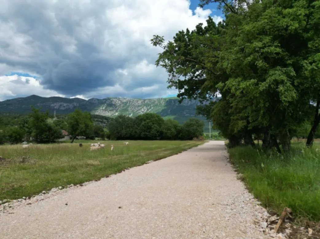 Prodaja, plac, 8000m², Donji Martinići, Danilovgrad