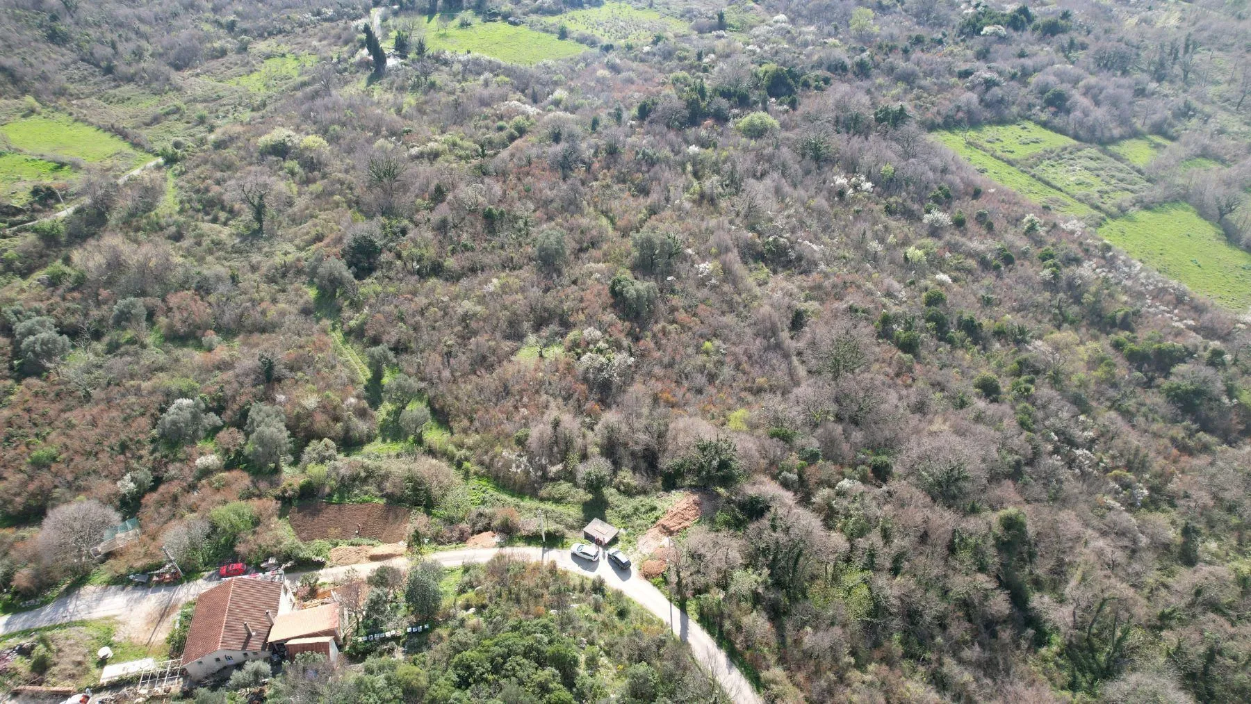 Sale, land lot, 40000m², Buljarica, Budva
