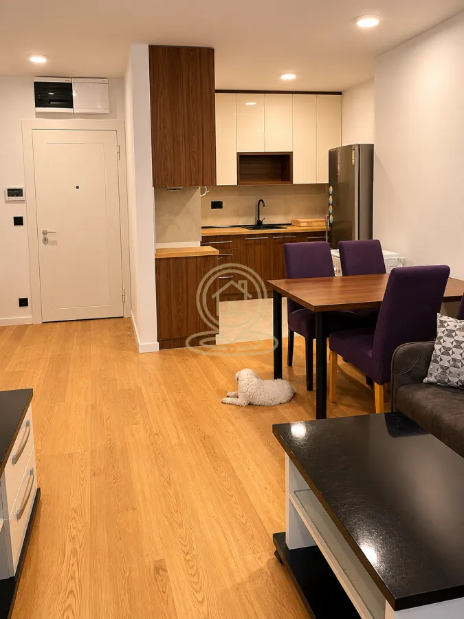 Rent, two bedroom apartment, 47m², Vračar Sve Podlokacije, Beograd