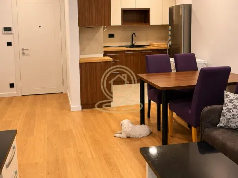 Rent, two bedroom apartment, 47m², Vračar Sve Podlokacije, Beograd - image 3