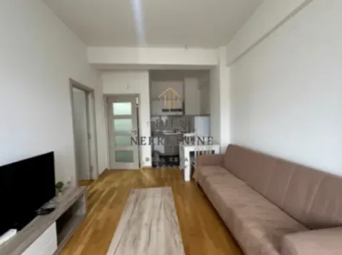 Izdavanje, jednosoban stan, 38m², Ljubović, Podgorica - image 7