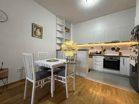 Rent, one bedroom apartment, 50m², Stari Aerodrom, Podgorica - image 4