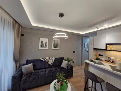 Daily-rent, one bedroom apartment, 34m², Centar, Vrnjačka Banja - image 7