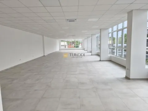 Izdavanje, poslovni prostor, 930m², Telep, Novi Sad Sve Podlokacije - image 11