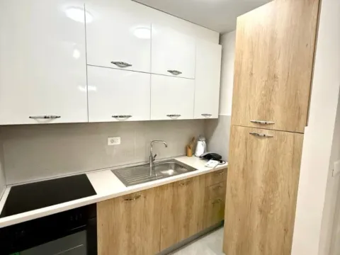 Izdavanje, jednosoban stan, 47m², Central Point, Podgorica - image 10
