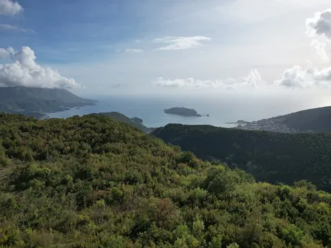 Prodaja, plac, 4000m², Lapčići, Budva - image 3