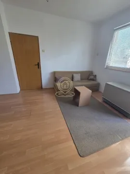 Dnevna soba sa kaučem, stočićem i drvenim podom. - image 5