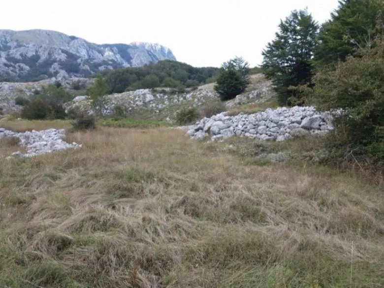 Prodaja, plac, 20000m², Cetinje, Crna Gora