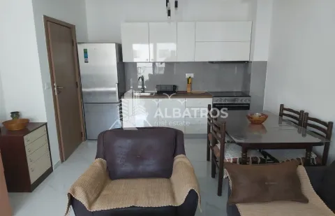 Rent, one bedroom apartment, 47m², Šušanj, Bar - image 3