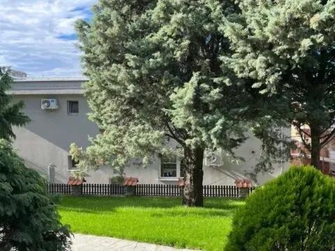 Izdavanje, kuća, 250m², Višnjička Banja, Palilula Sve Podlokacije - image 19