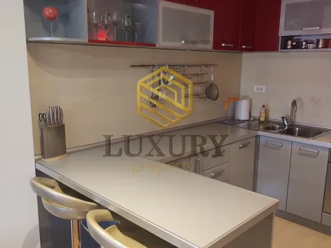 Izdavanje, jednosoban stan, 50m², Preko Morače, Podgorica - image 8