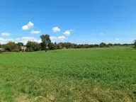 Prodaja, kuća, 42m², Skela, Obrenovac - image 3