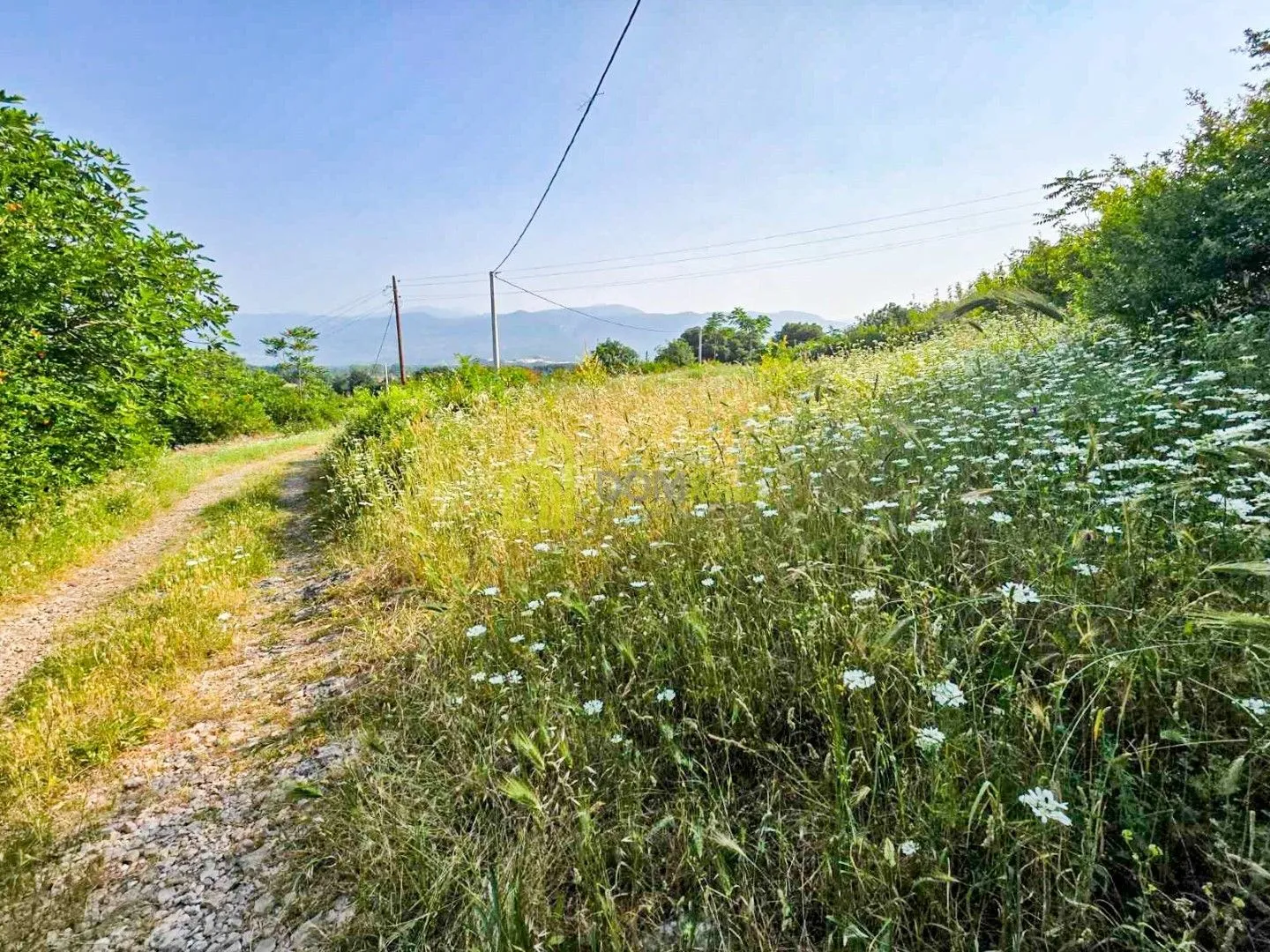 Prodaja, plac, 3000m², Novo Selo, Danilovgrad