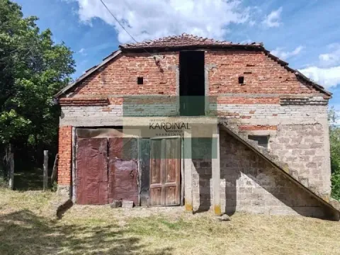 Prodaja, kuća, 250m², Crnče, Jagodina - image 19