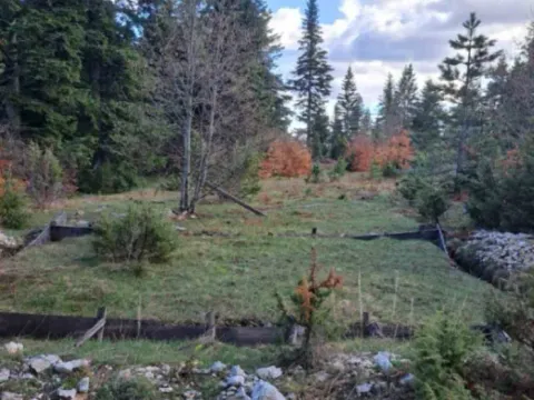 Sale, land lot, 10500m², Stublo, Čajetina - image 8