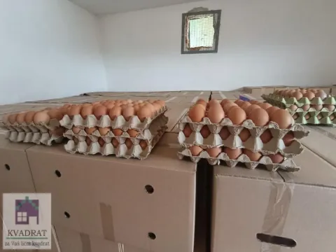 Prodaja, poslovni prostor, 163m², Zvečka, Obrenovac - image 11