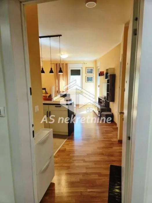 Rent, apartment, 37m², Zemun Sve Podlokacije, Beograd