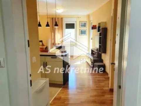 Izdavanje, stan, 37m², Zemun Sve Podlokacije, Beograd - image 9