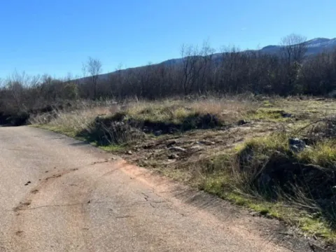 Prodaja,  zemljište, 16000m2, Bandići, Danilovgrad