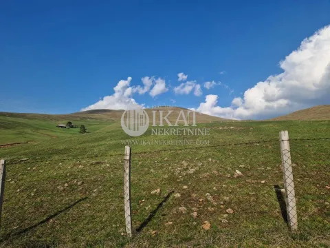 Sale, land lot, 1450m², Zlatibor, Srbija - image 7