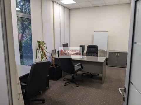 Izdavanje, poslovni prostor, 250m², Beograd, Srbija - image 8