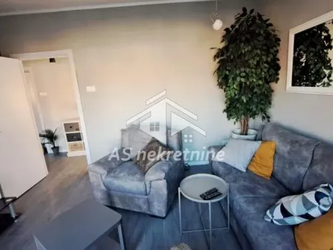 Izdavanje, dvosoban stan, 55m², Cvijićeva, Palilula Sve Podlokacije - image 3