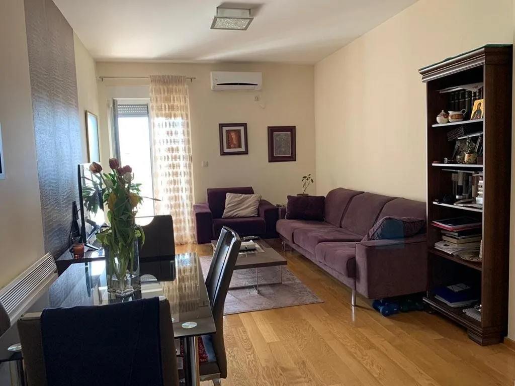 Rent, one bedroom apartment, 45m², Blok 6, Podgorica