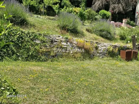 Zeleno dvorište sa kamenim podzidom i uređenim zelenilom. - image 9
