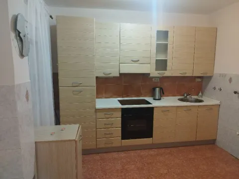 Rent, house, 140m², Zabjelo, Podgorica - image 5