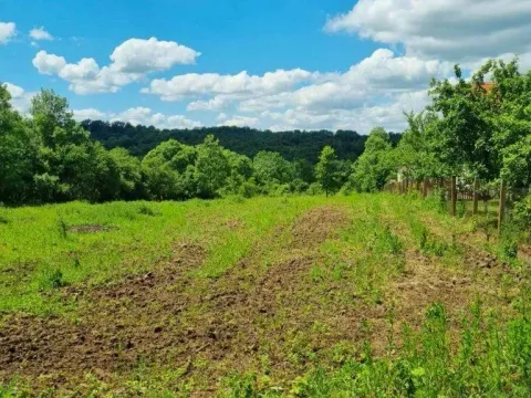 Prodaja, plac, 5000m², Krupanj, Srbija - image 4