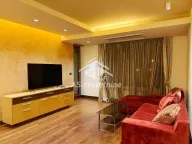 Izdavanje, dvosoban stan, 60m², Novi Beograd Sve Podlokacije, Beograd - image 1