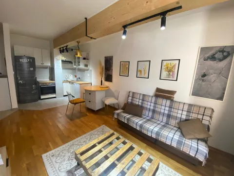 Rent, one bedroom apartment, 41m², Zabjelo, Podgorica - image 1