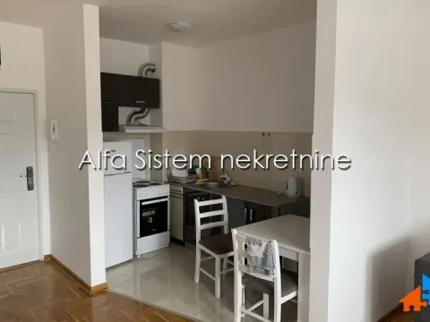 Rent, one bedroom apartment, 42m², Višnjička Banja, Palilula Sve Podlokacije - image 5