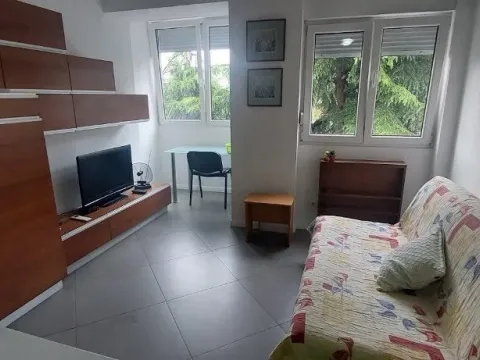 Rent, studio apartment, 25m², Preko Morače, Podgorica - image 3