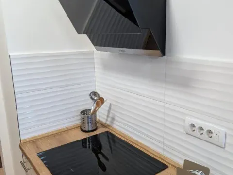 Izdavanje, dvosoban stan, 44m², Šumice, Beograd - image 4