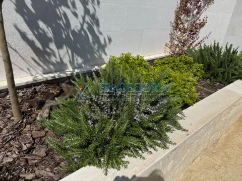 Prodaja, stan, 24m², Bar, Crna Gora - image 3