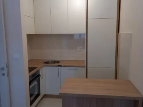 Izdavanje, jednosoban stan, 47m², Central Point, Podgorica - image 5