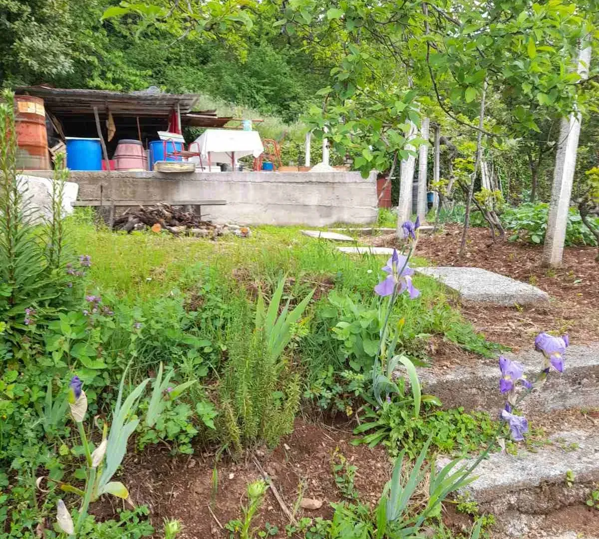 Prodaja, plac, 700m², Herceg Novi, Crna Gora