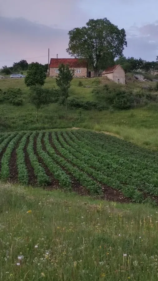 Sale, house, 60m², Dubočke, Nikšić