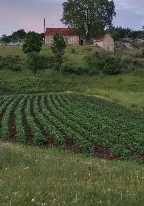 Sale, house, 60m², Dubočke, Nikšić
