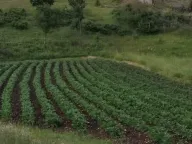 Sale, house, 60m², Dubočke, Nikšić - image 1