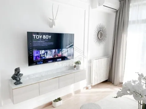 Izdavanje, dvosoban stan, 56m², Savski Venac, Beograd - image 3